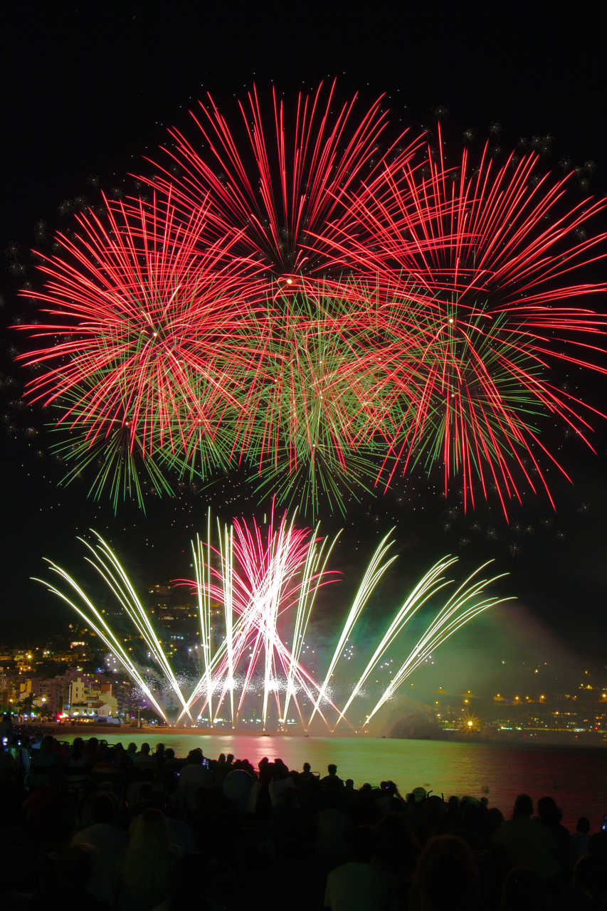 people's crowd watching fireworks