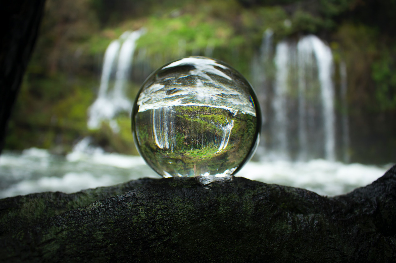 shallow depth of field